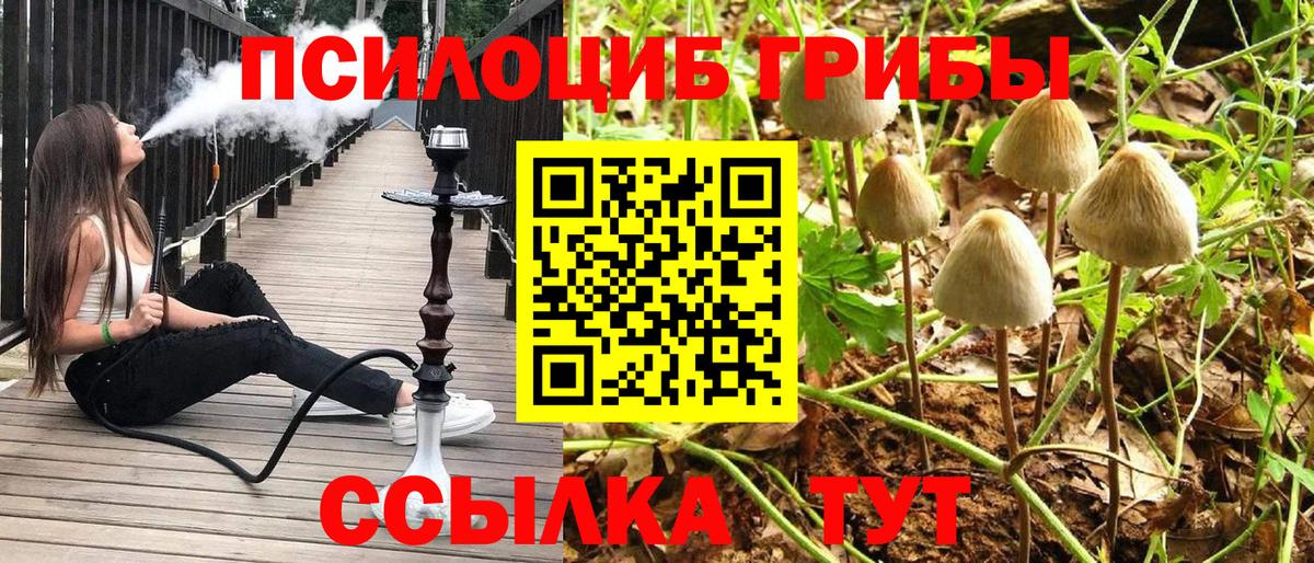 Галлюциногенные грибы прущие грибы  Вход с VPN  Псилоцибиновые грибы Magic Shrooms  Воронеж 