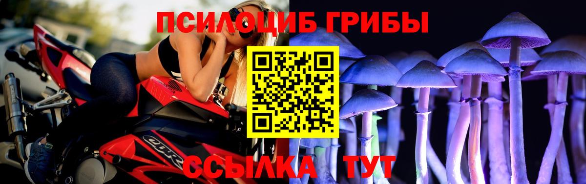 Псилоцибиновые грибы мухоморы Воронеж